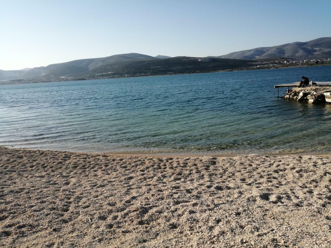 Apartments Bagaric Trogir Eksteriør billede